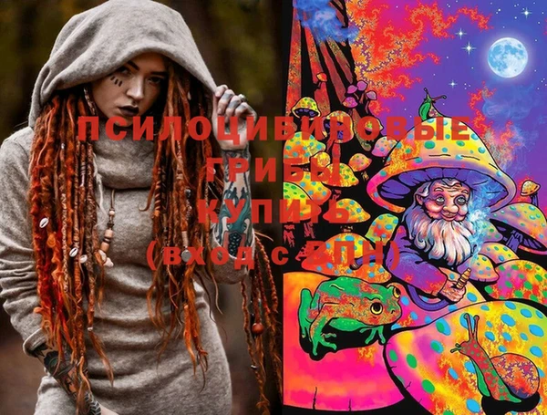 мет Пестово